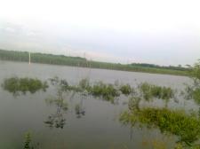 lapangan bola kebanjiran